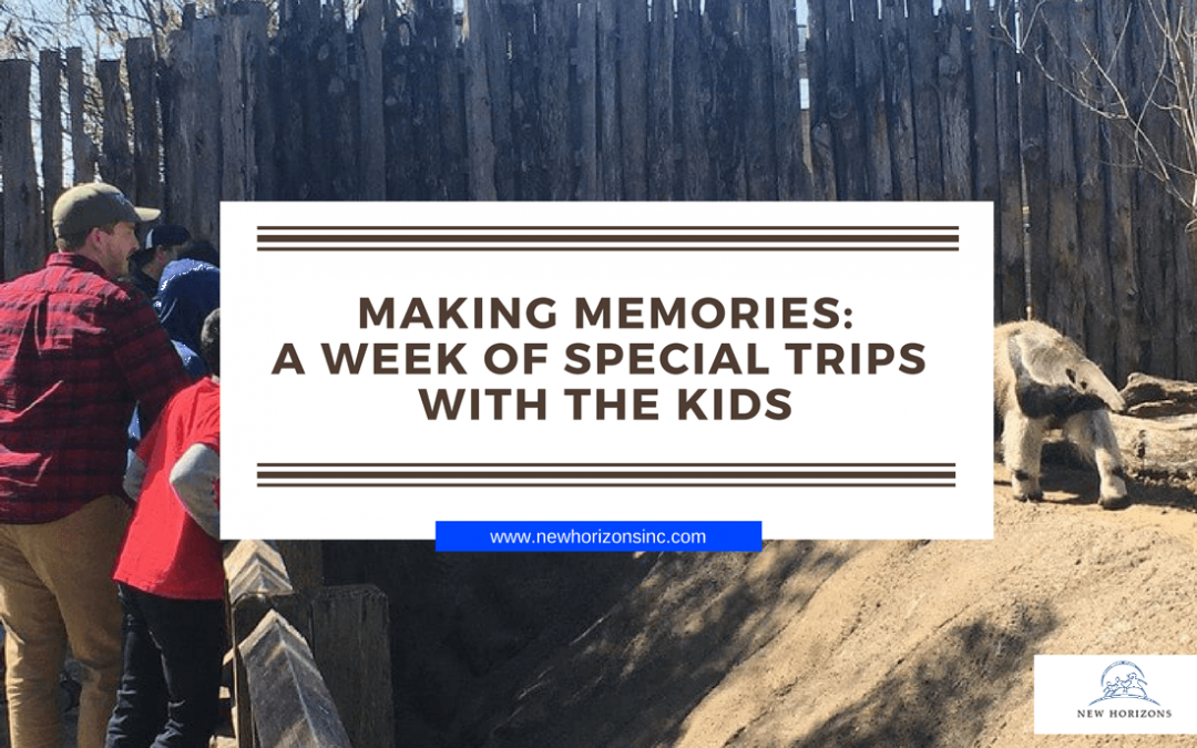 Making Memories: A week of special trips with the kids