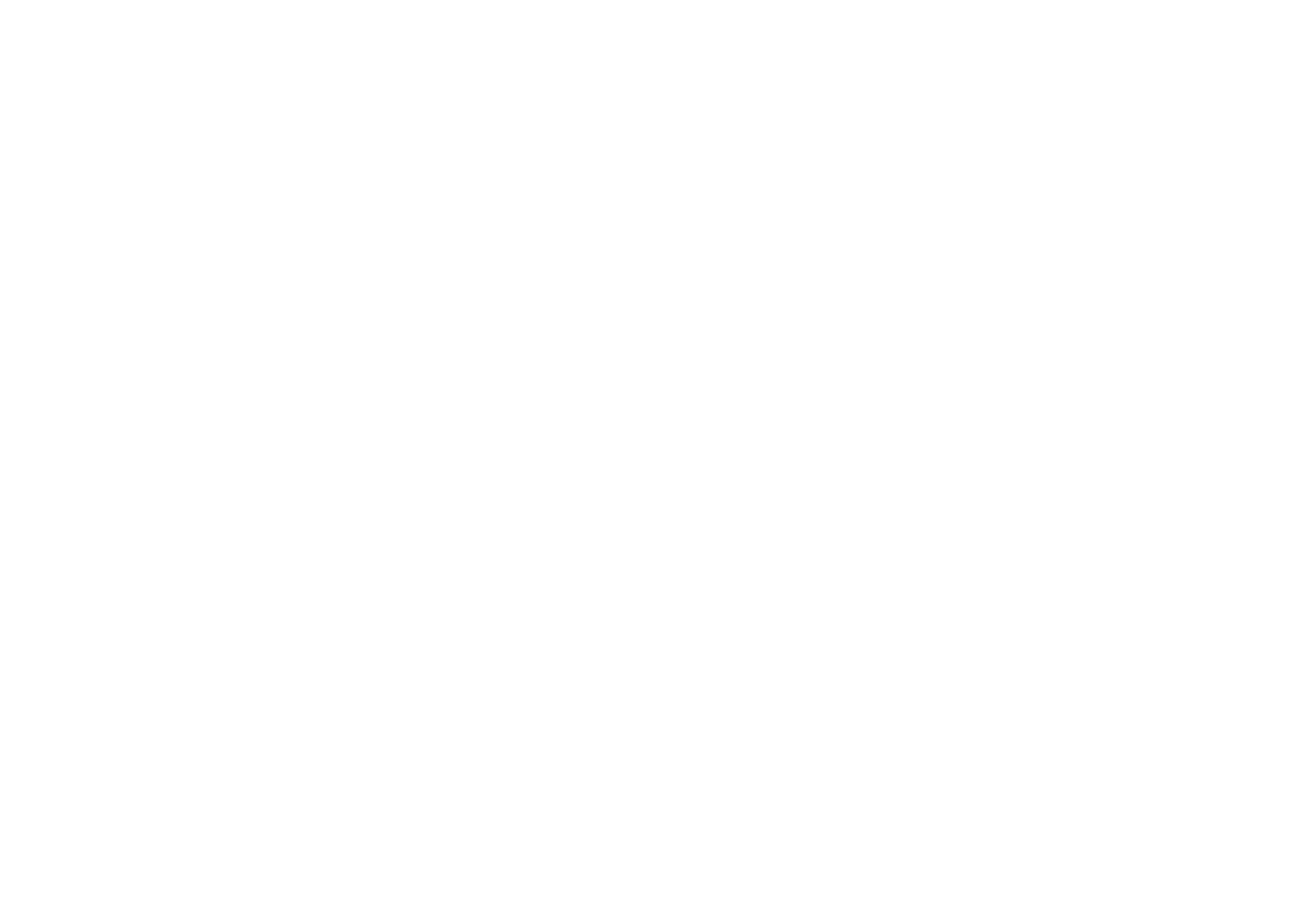 New Horizons